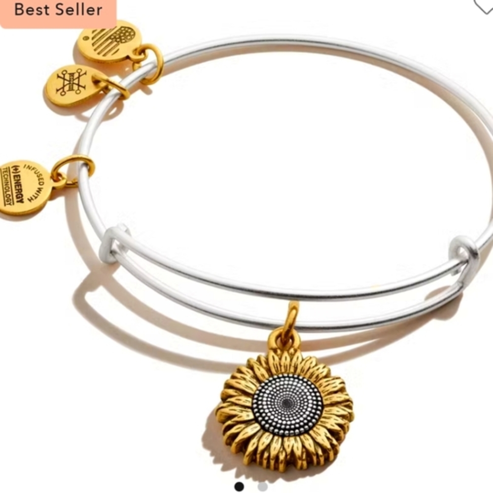 Alex and Ani Bracelet